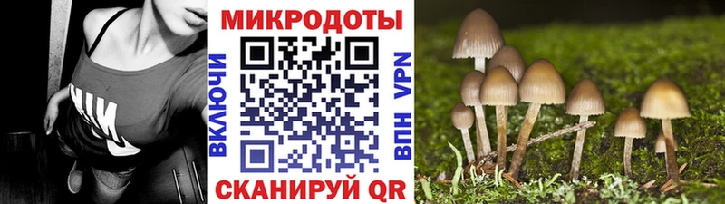 Галлюциногенные грибы ЛСД  Череповец 