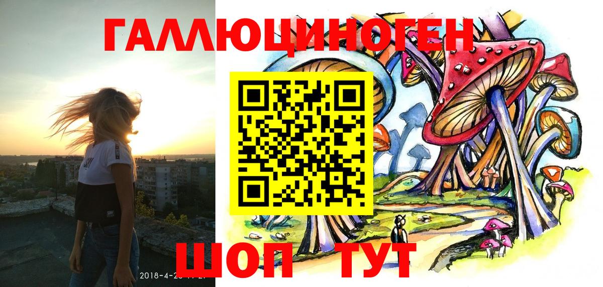 Череповец  Псилоцибиновые грибы Psilocybe  Вход с VPN 