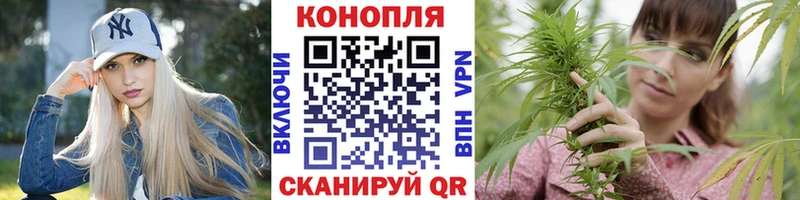 MEGA как войти  Череповец  Конопля SATIVA & INDICA  купить наркотик 