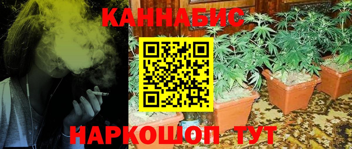Шишки марихуана VHQ  Каннабис LSD WEED  Череповец  Вход с VPN  Шишки марихуана THC 21%  Шишки марихуана OG Kush 
